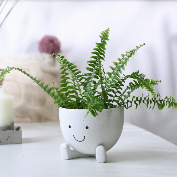 Face Flower Pot Face Planters Pots Cute Pot Head Planter for Indoor Plants Planters with Drainage Hole Resin Planter 4 Inches –